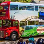 Magic Winery Bus Limited