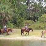 Horseback Trail Rides