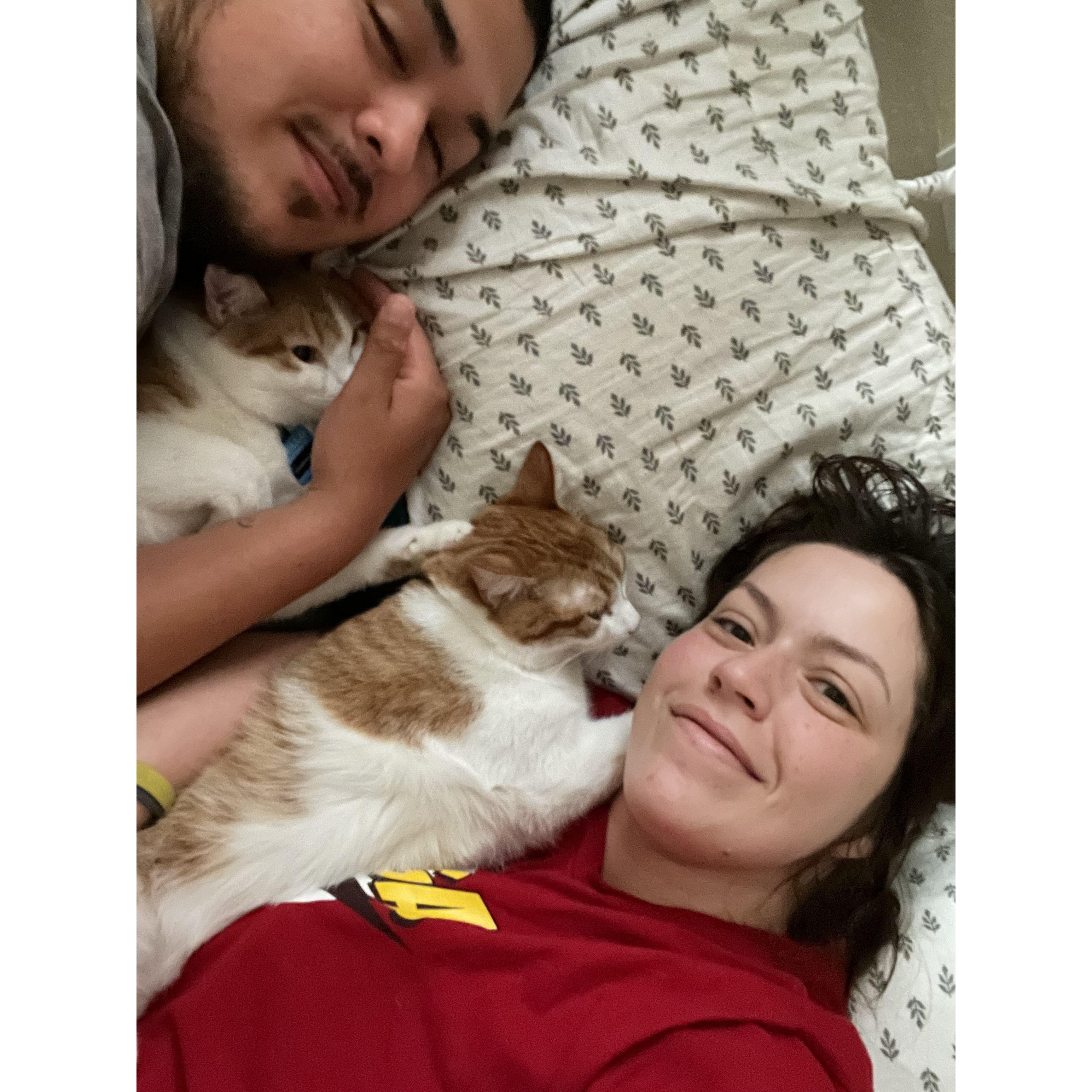 They love their cats!