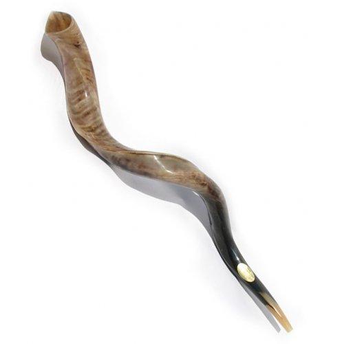 44" Yemenite Polished Shofar