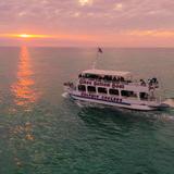 Sunset Dolphin Tours
