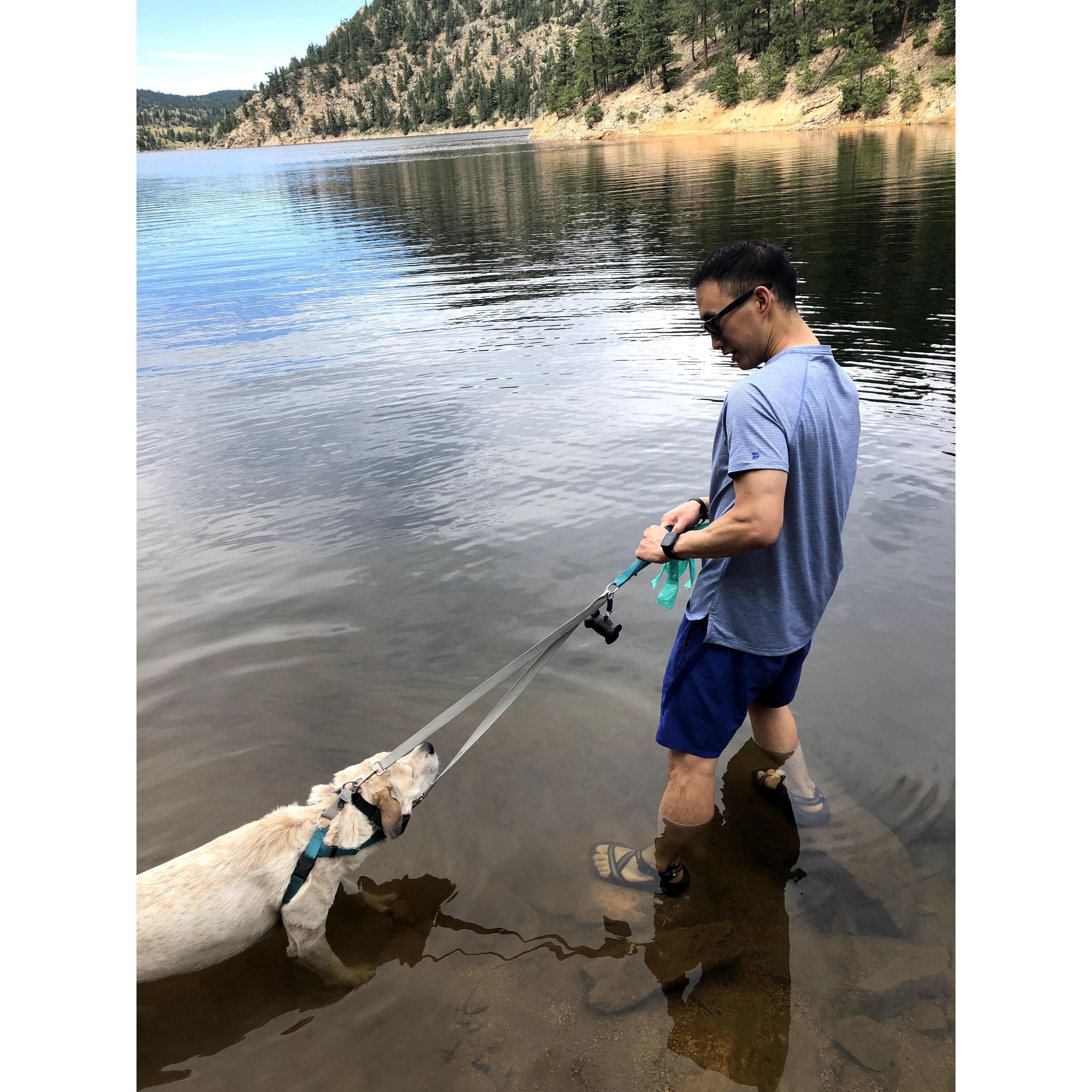 Rosie HATES the water! Such a strange lab.