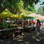 Charleston Farmers Market