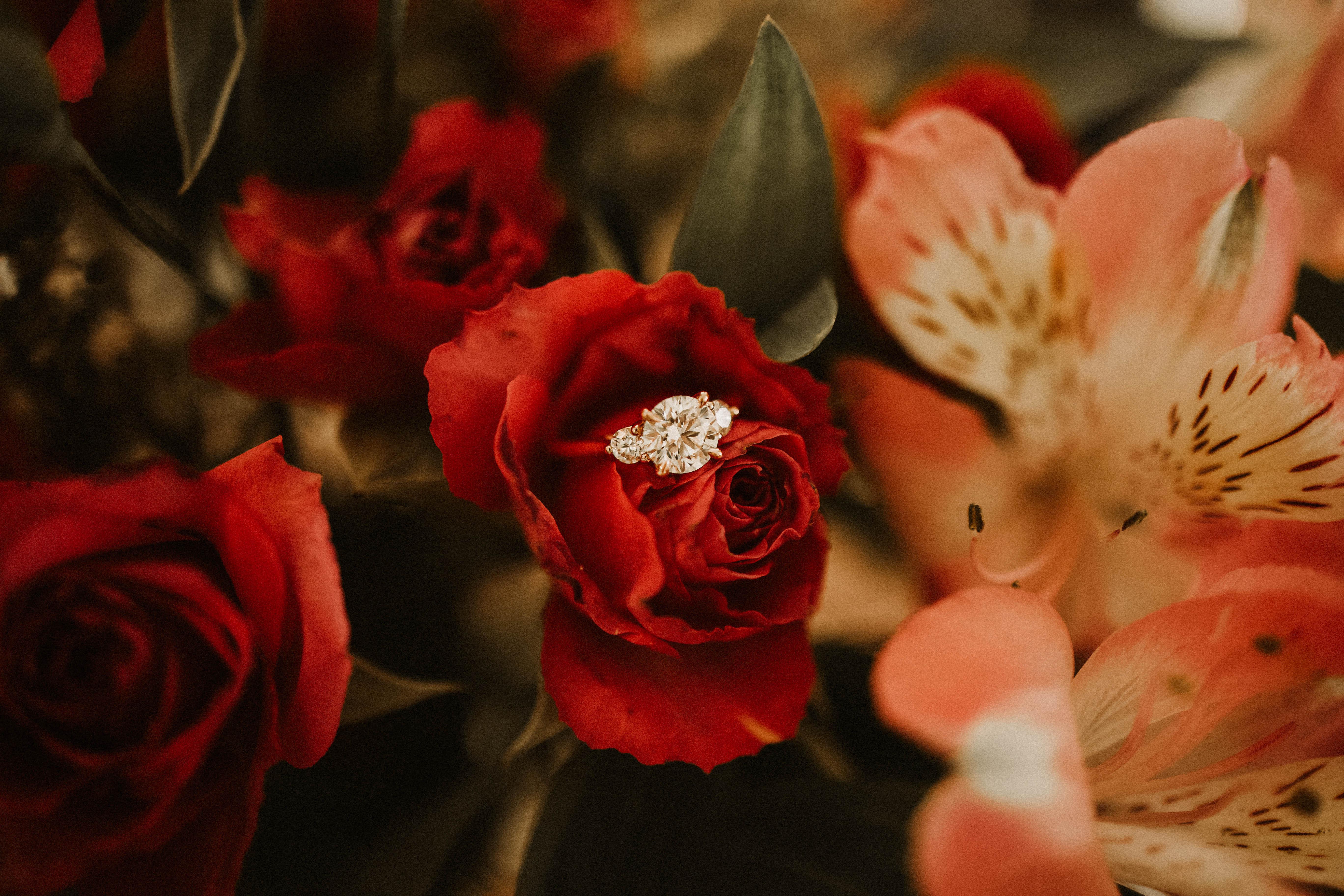 The Wedding Website of Fayola Fears and Jhullian Alston