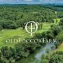 Old Toccoa Farm Golf Course