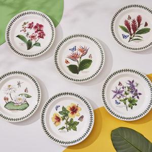 Portmeirion Exotic Botanic Garden Dinner Plates Set of 6