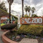 Sacramento Zoo