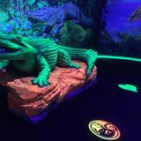 Shankz Mini Golf & Arcades