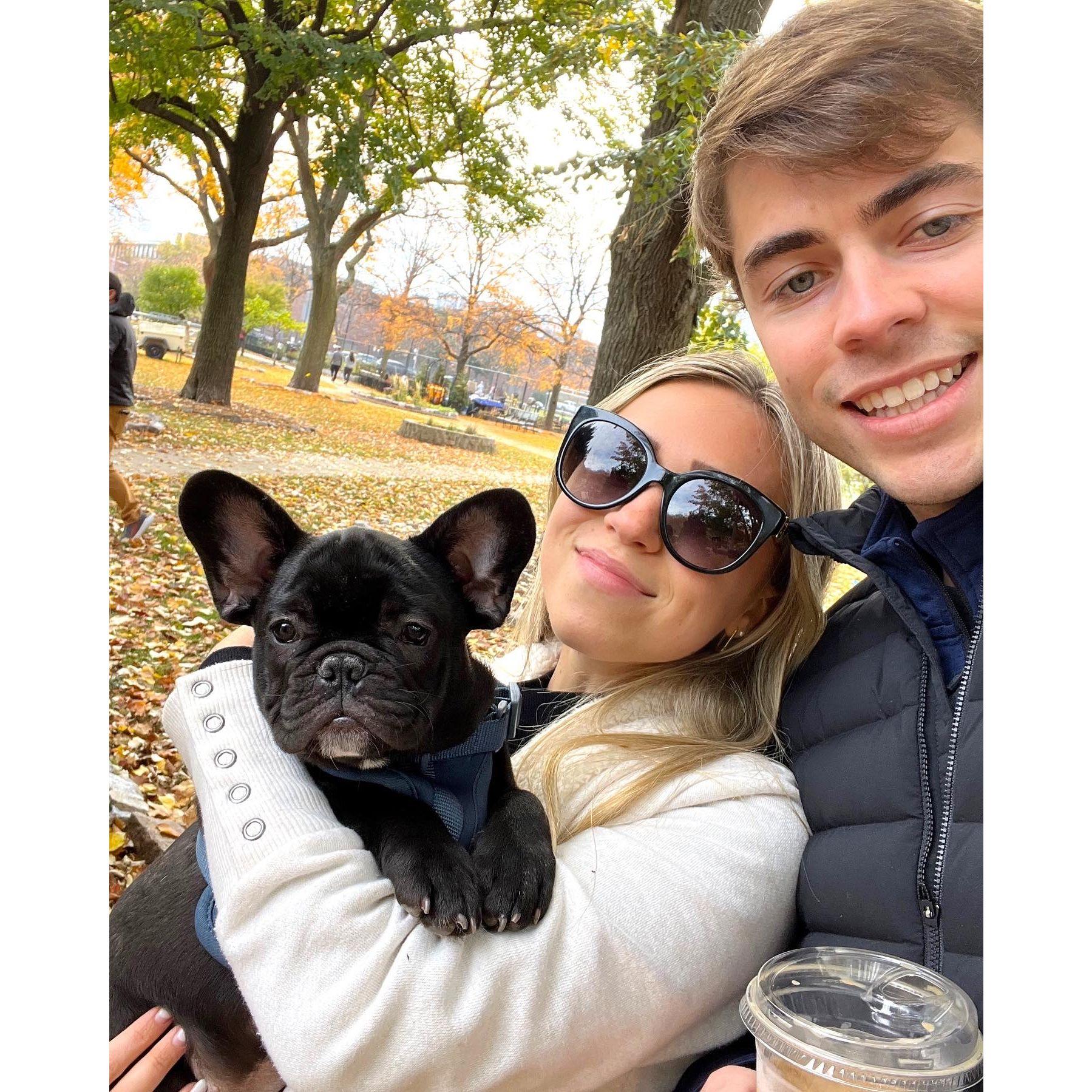 Wilson was adopted in October of 2022. He is our pride and joy! (2022)