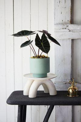 Ceramic Double Footed Riser