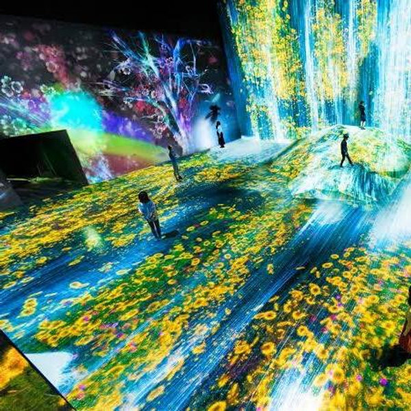 TeamLab Planets Experience for 2