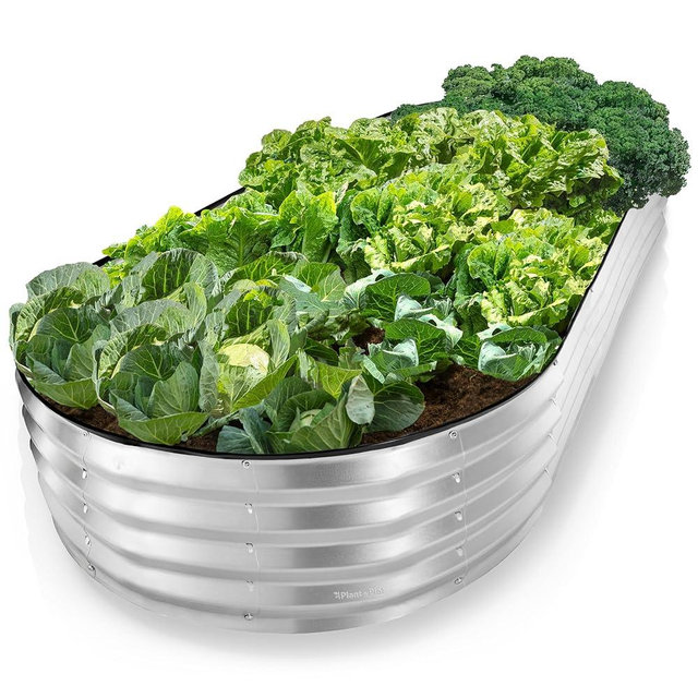 Plant & Plot Galvanized Raised Garden Beds Outdoor // 8×4×1 ft Planter Raised Beds for Gardening, Vegetables, Flowers // Large Metal Garden Box // Patented Tool-Free Design (Silver)