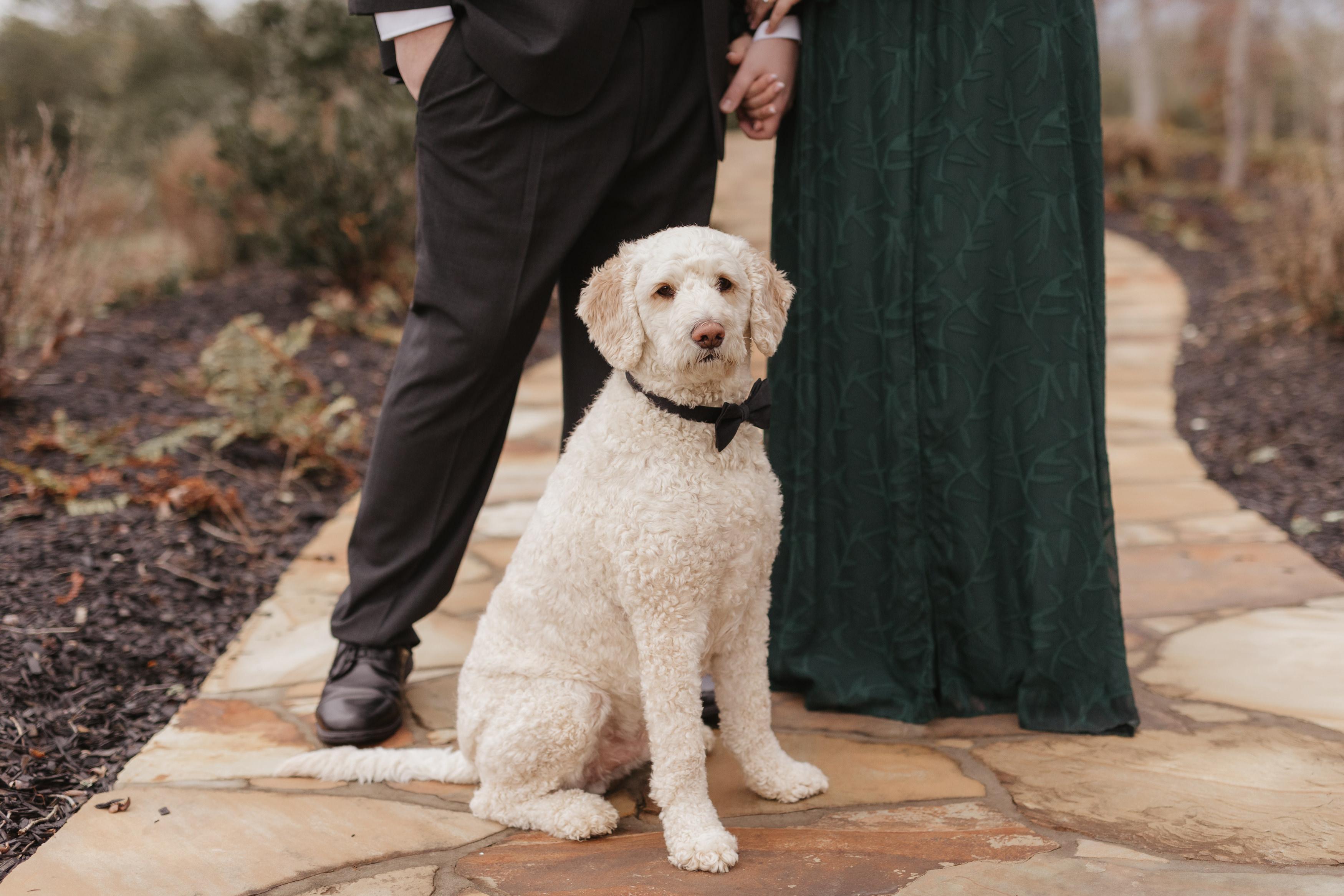 79a84575-d64f-4626-97f8-5ad8d573ca46