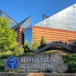 Tennessee Aquarium