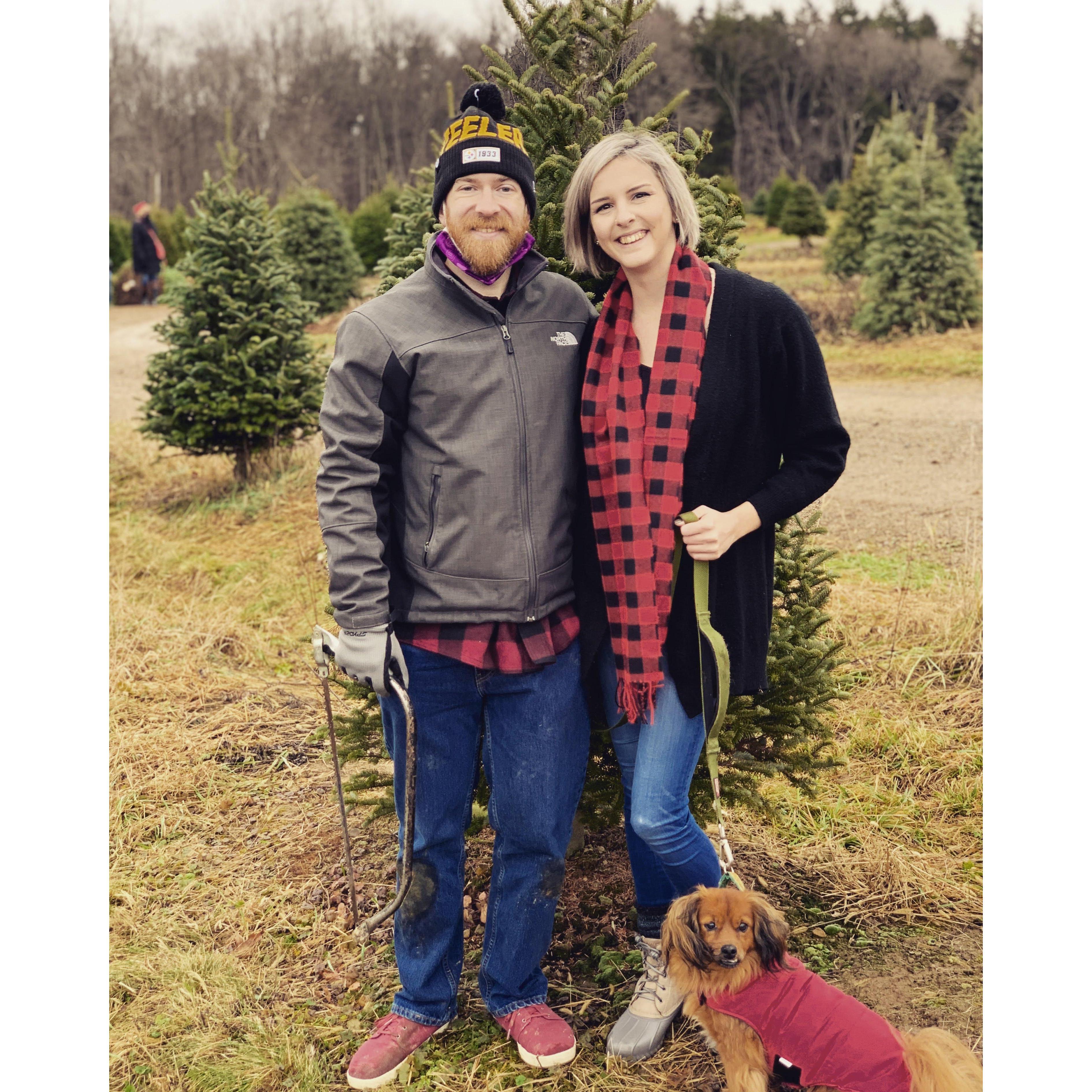 Our first (and Alissa's very first) real Christmas tree!