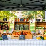 Green City Market Lincoln Park