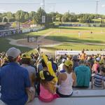 Bismarck Larks Baseball