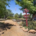 Story Winery
