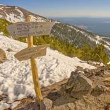 Humphreys Peak Trail