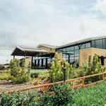Maui Brewing Co.