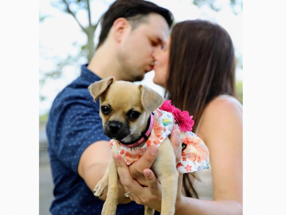 The Wedding Website of Kristal Passante and Zack Rich
