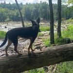 Gumpas Pond Conservation Area