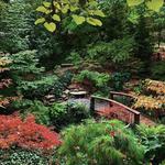 Cleveland Botanical Garden