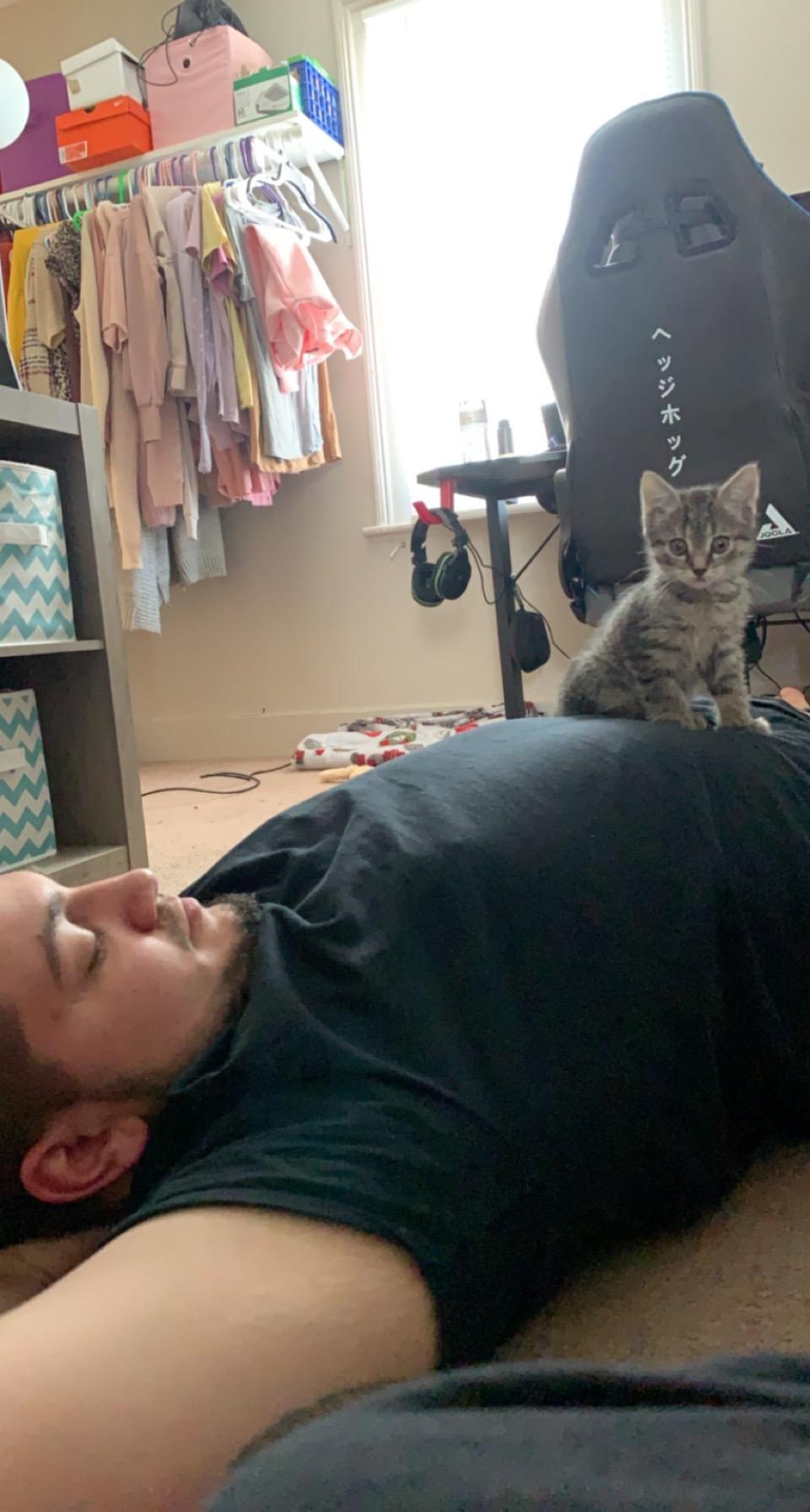 The day we took home our first fur baby aka our Lily Bug 🐈‍⬛💕
