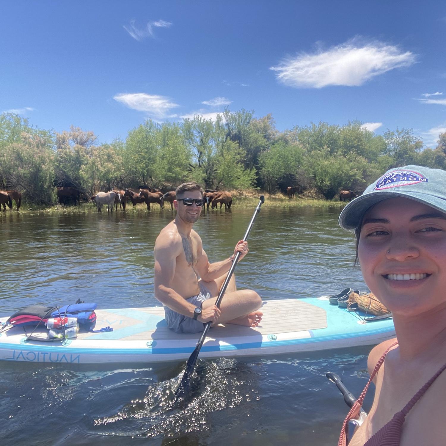 Paddle boarding the Salt River with some wild horses.