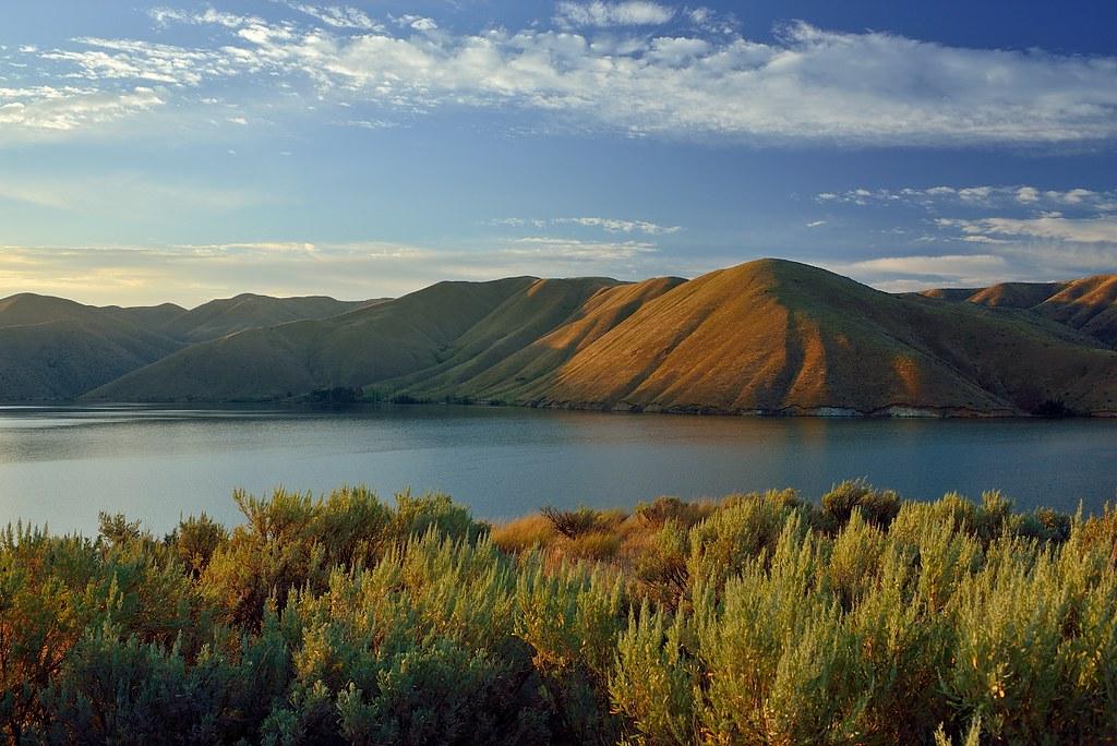 The Wedding Website of Nicolette Bove and Peter Merschdorf