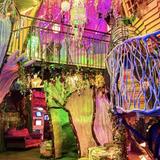Meow Wolf Santa Fe's House of Eternal Return