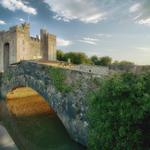 Bunratty Castle and Folk Park
