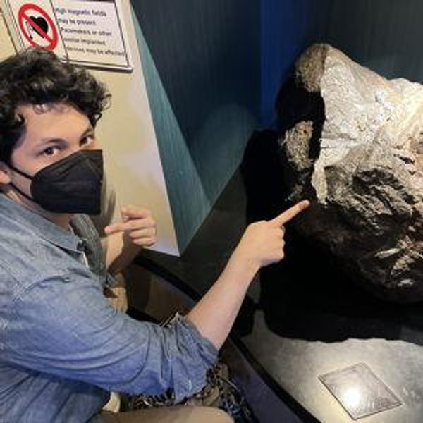 museum visits