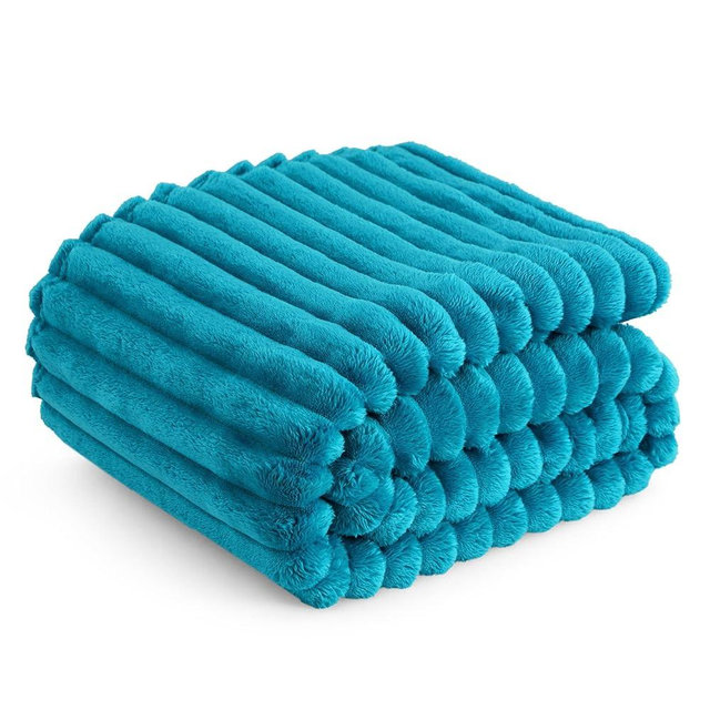 Bedsure Teal Fleece Blanket for Couch - GentleSoft Cozy Soft Blankets for Women, Cute Small Throws for Girls, 50x60 Inches