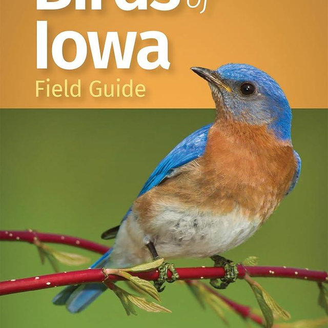 Birds of Iowa Field Guide (Bird Identification Guides)
