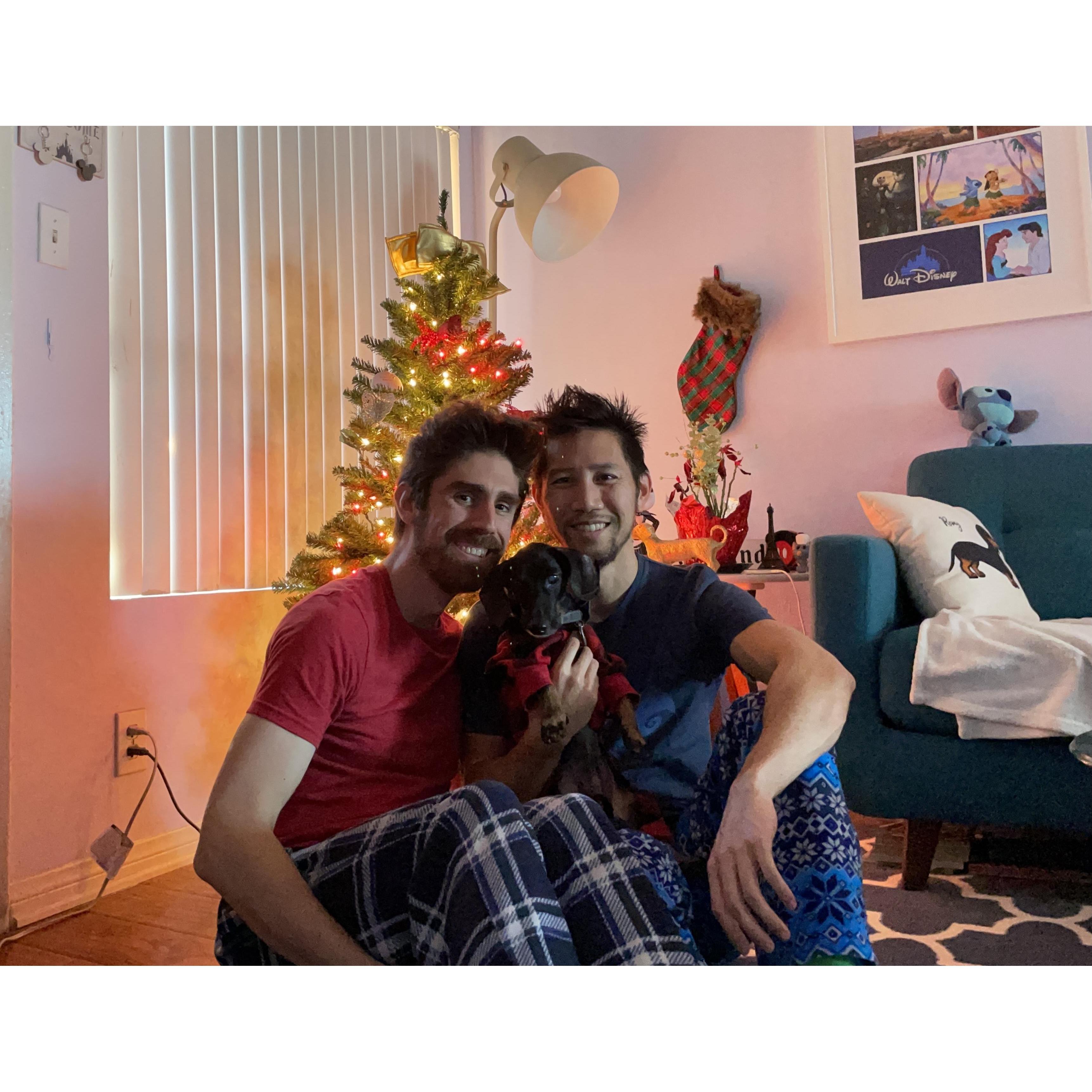 Pandemic Christmas
December 2020