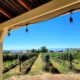 LaNoue DuBois Winery