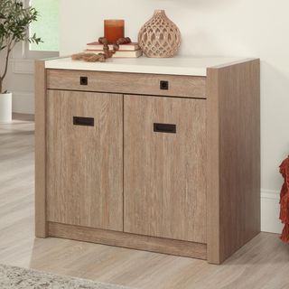 Dixon City 2-Door Storage Cabinet