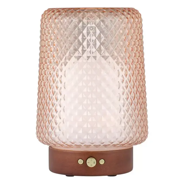 SpaRoom® Dahlia Glass Essential Oil Diffuser in Blush