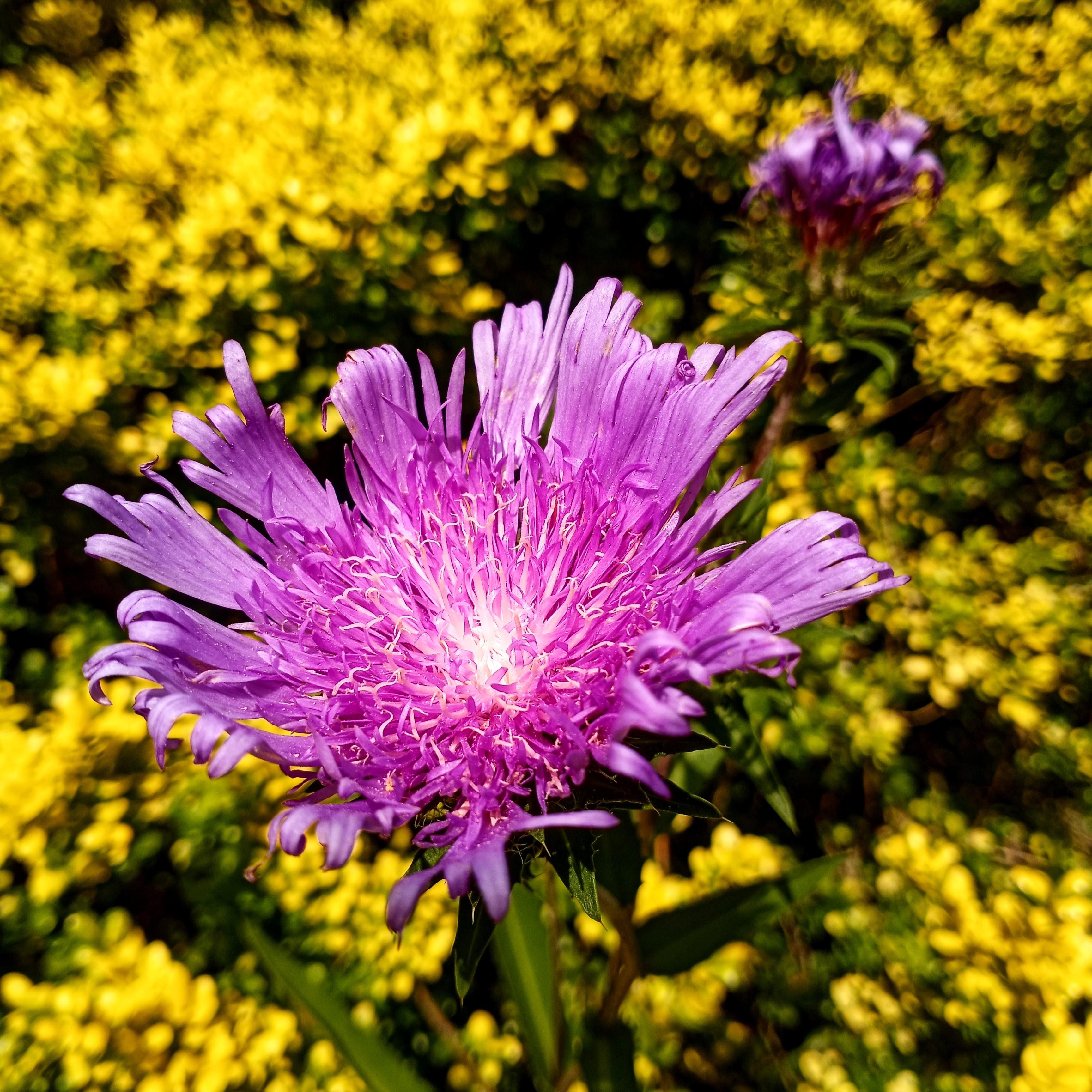 One of Miguel's beautiful photos