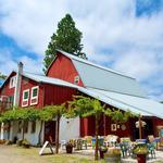 Saint Croix Vineyards