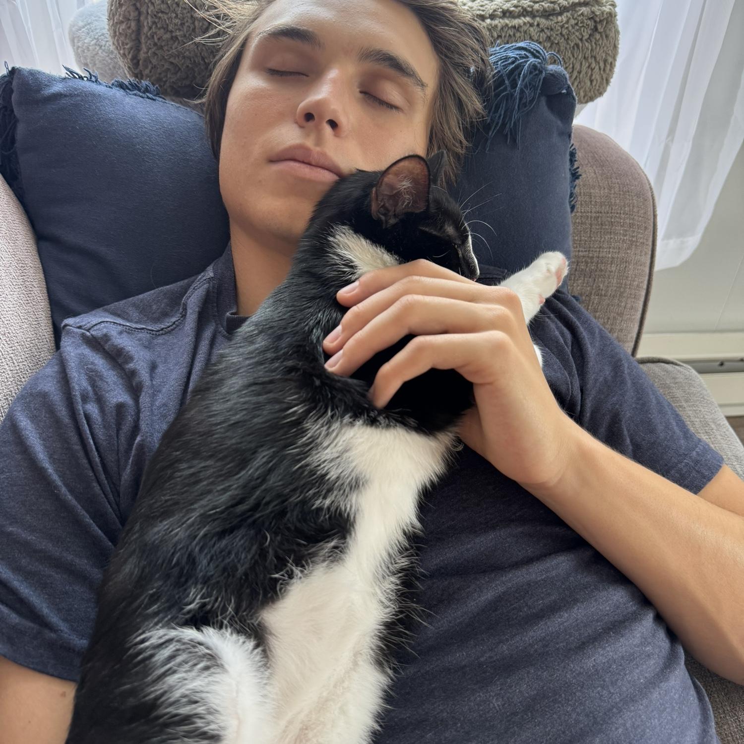 Kitty naps!