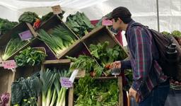 Portland Farmers Market at PSU
