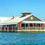 The Old Salty Dog