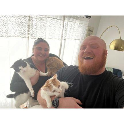 12/25/2023 - Our first Christmas with Stevie and our first family photo with Mac, Mo & Stevie!