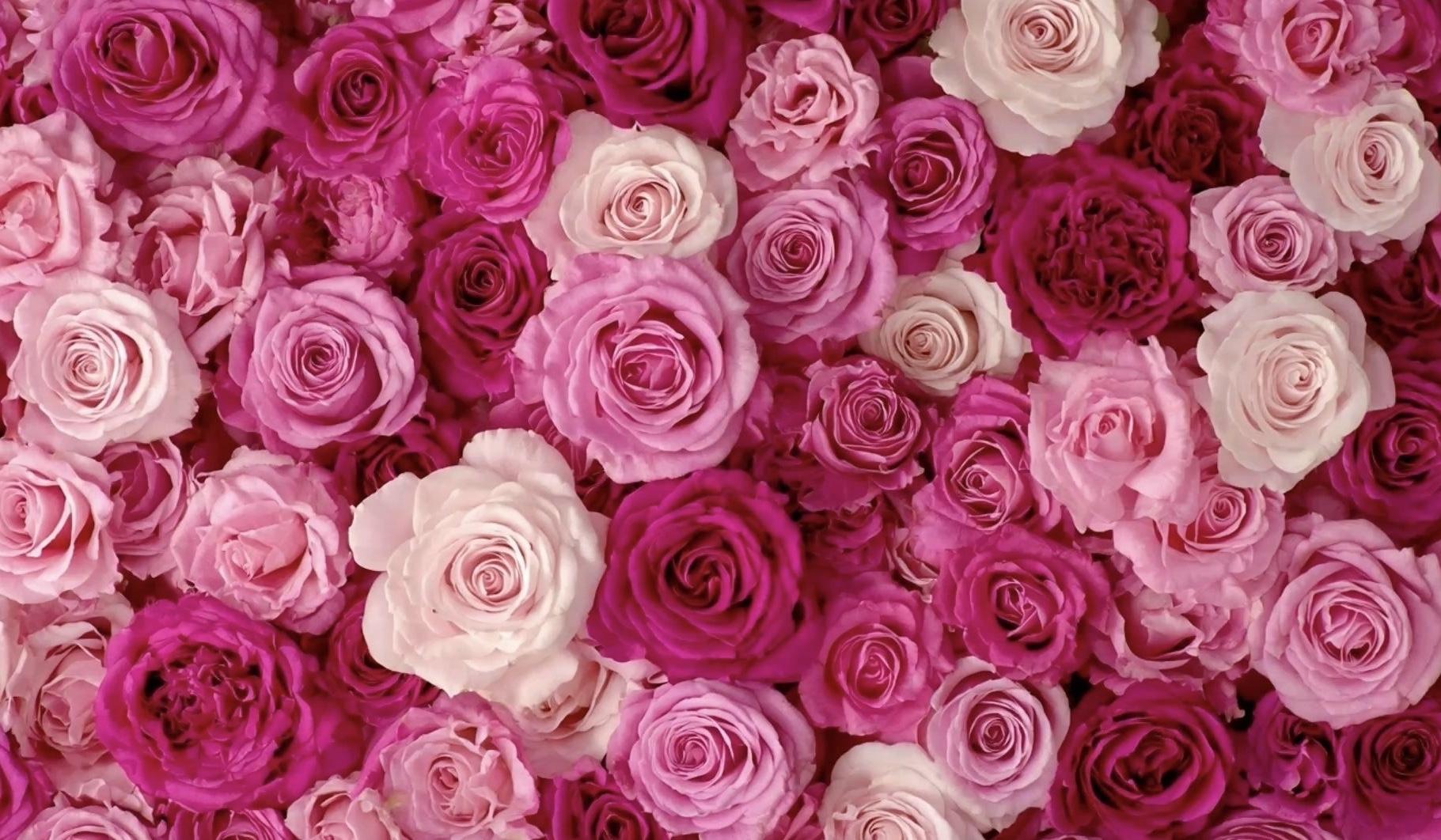 The Wedding Website of Melissa Burton and Tyler Sterner