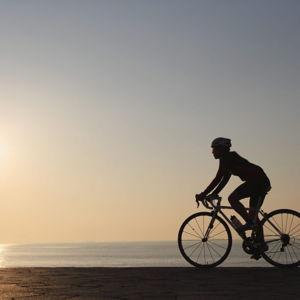 Bike Tours