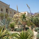 Jardín Etnobotánico de Oaxaca