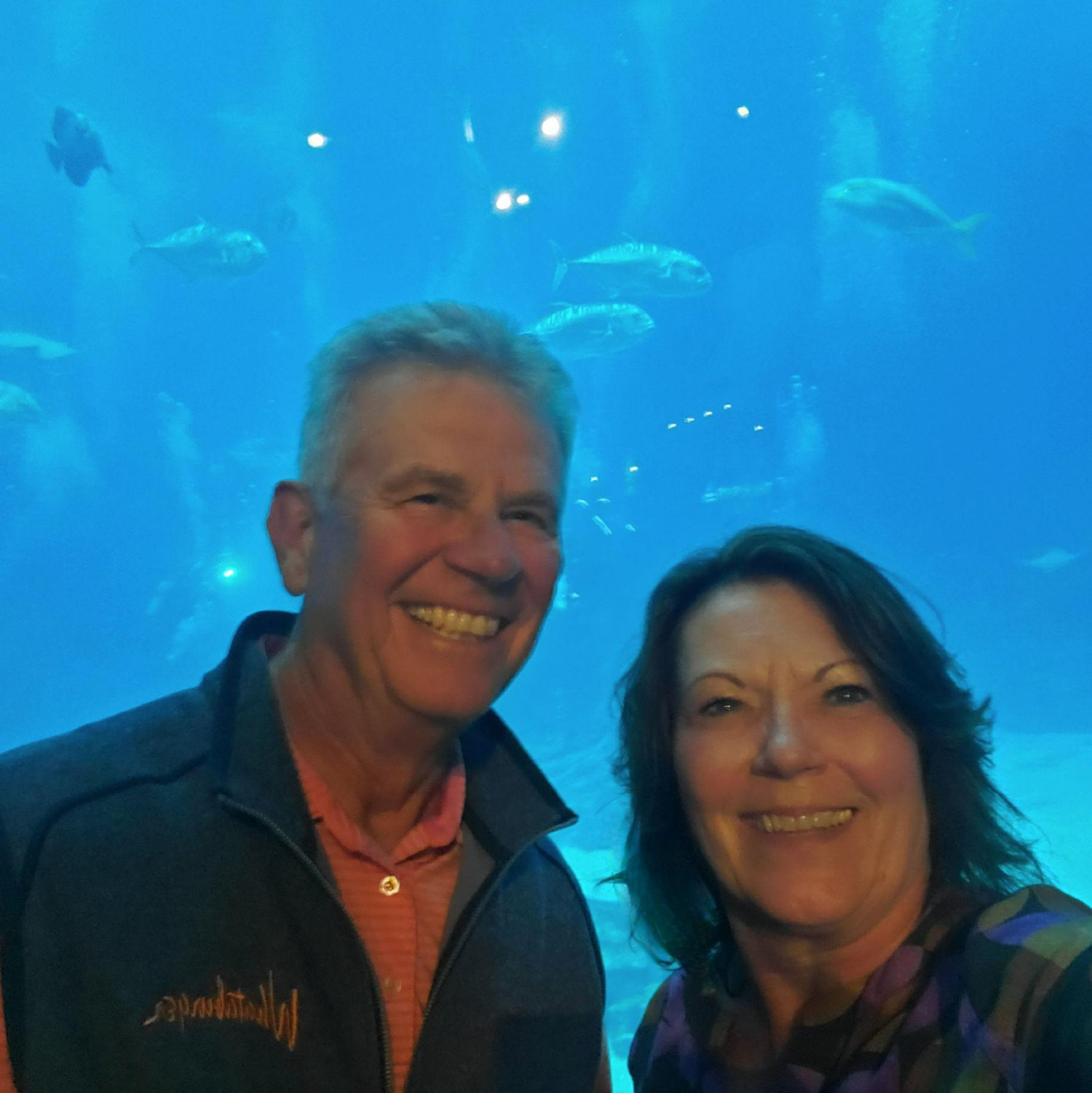 Atlanta Aquarium