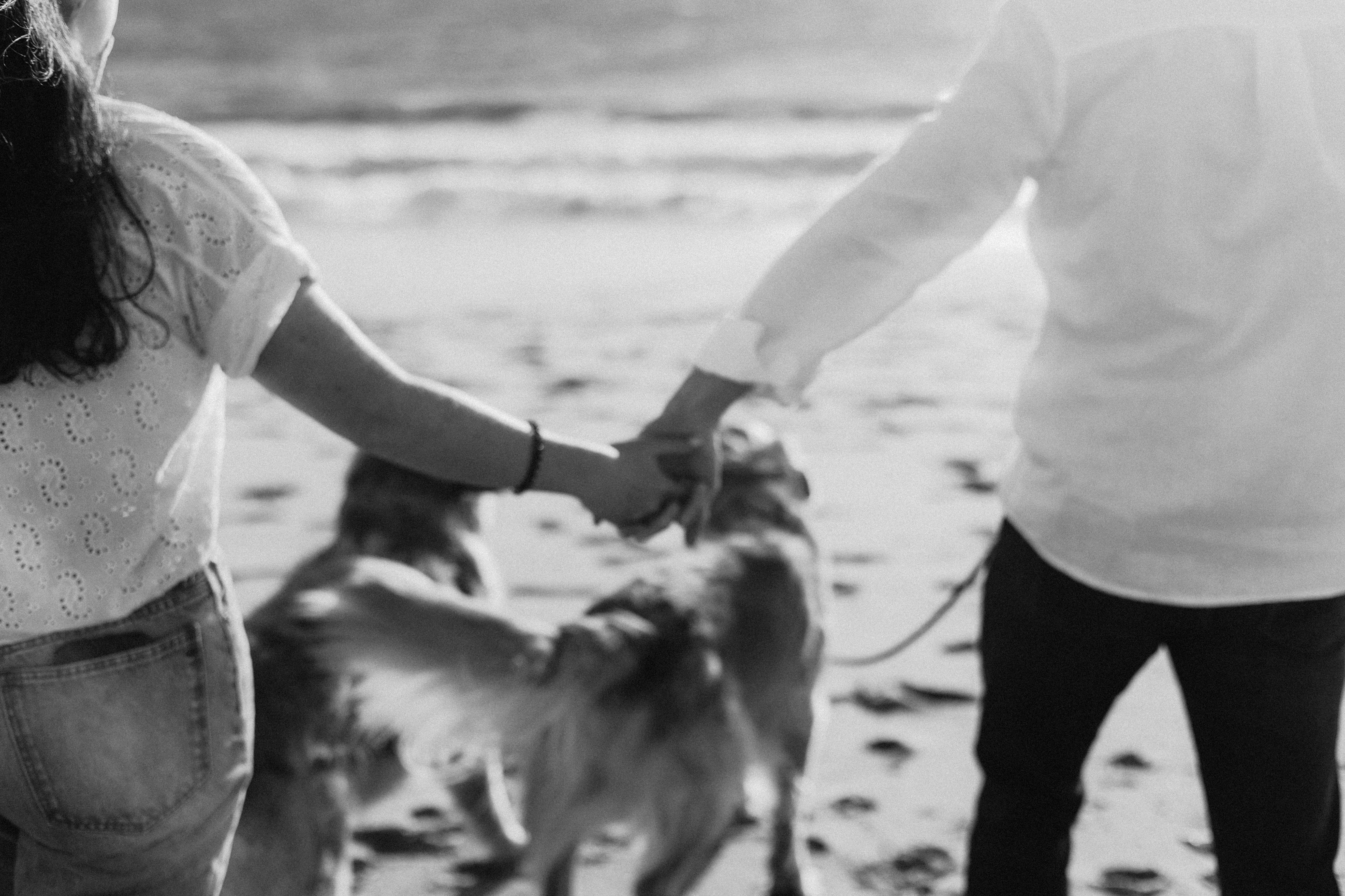 The Wedding Website of Leah Baer and Josh Less